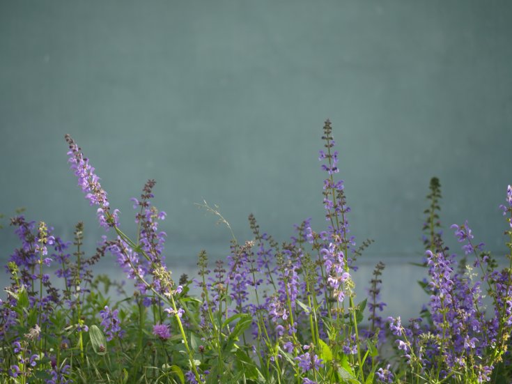 Produktebild