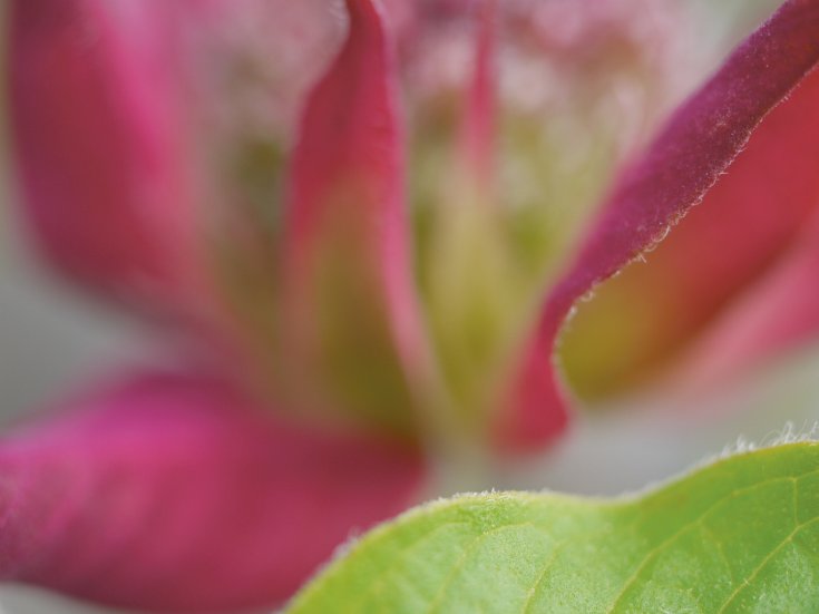 Produktebild