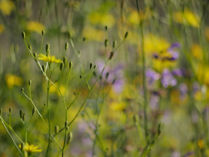 Produktebild