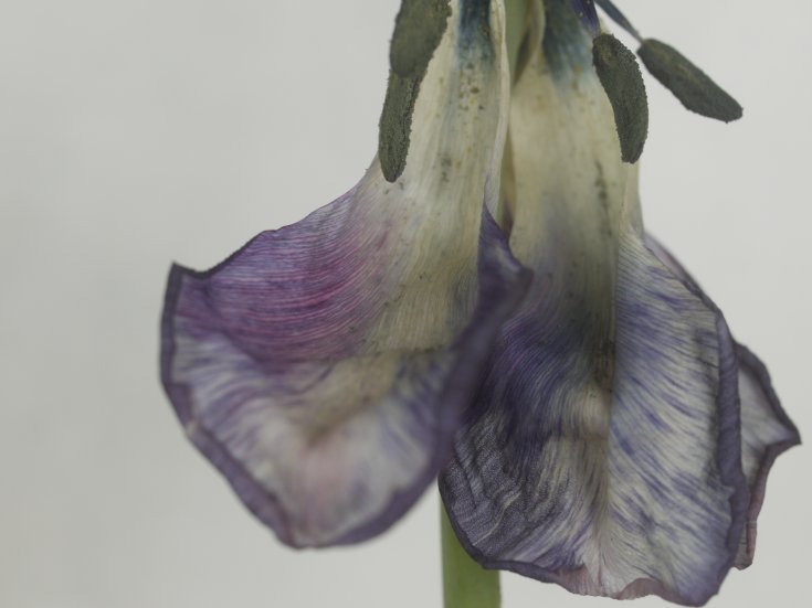 Produktebild