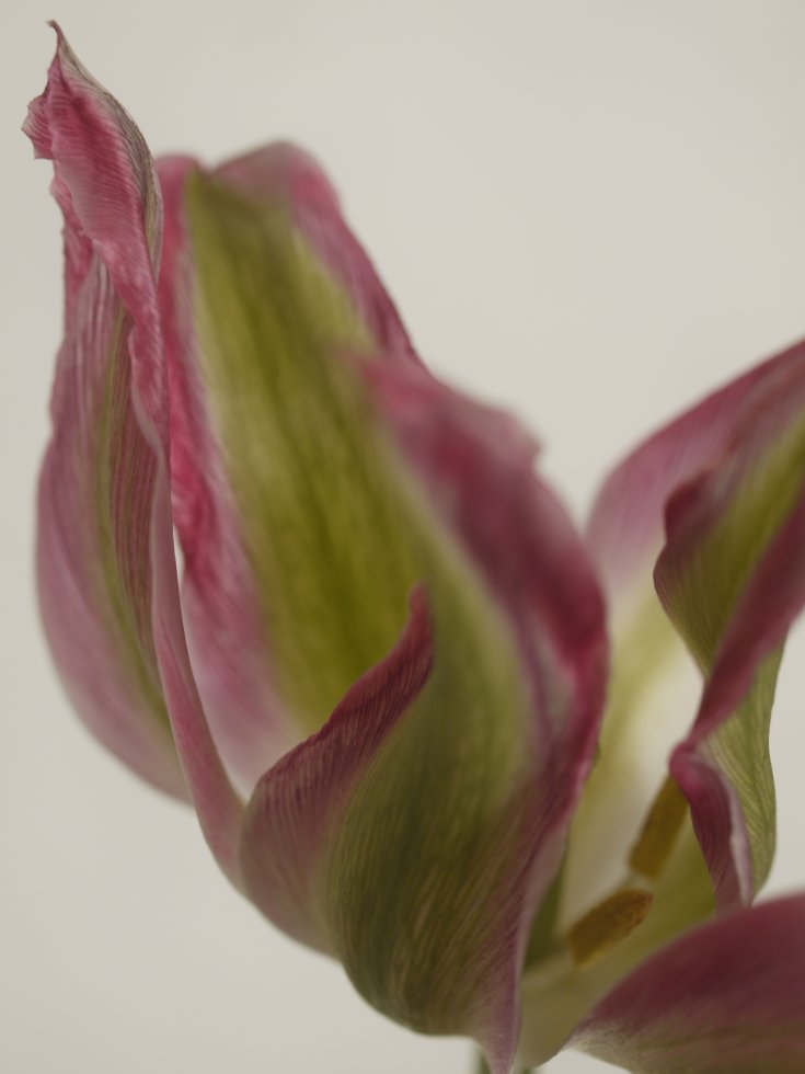Produktebild