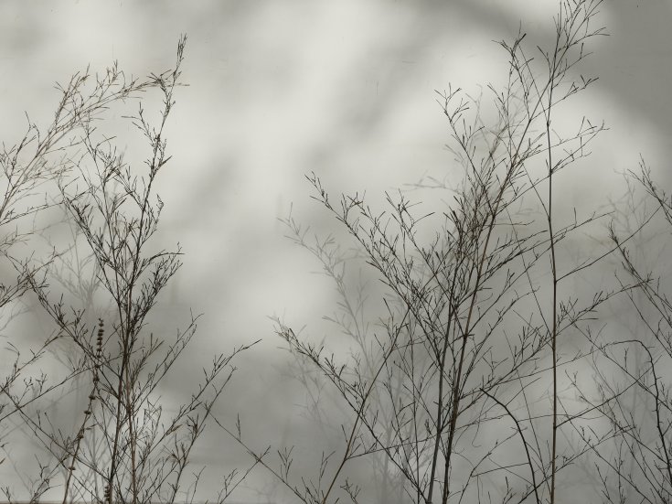 Produktebild