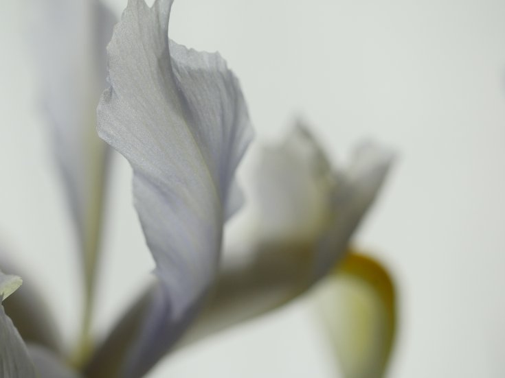 Produktebild