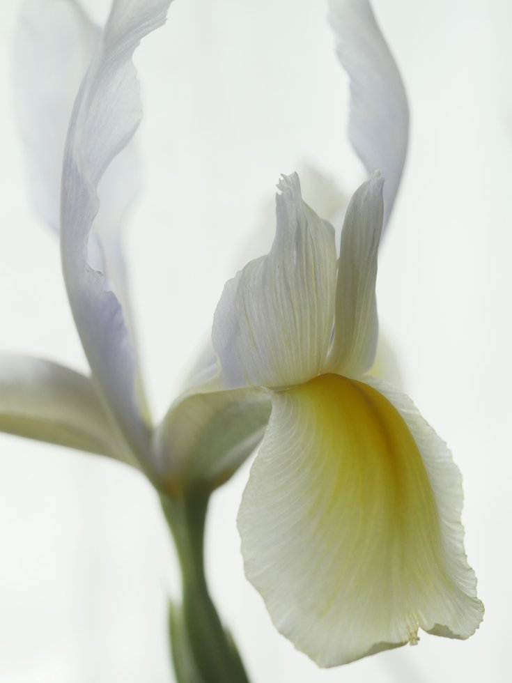 Produktebild