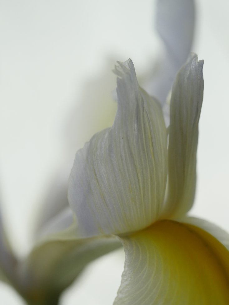 Produktebild