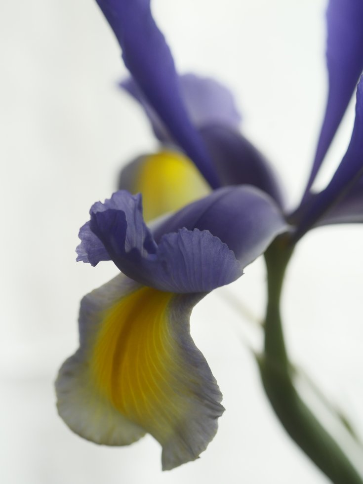 Produktebild