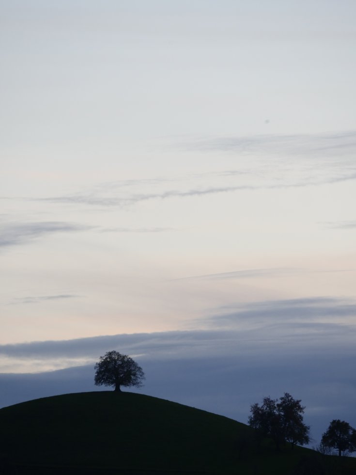 Produktebild
